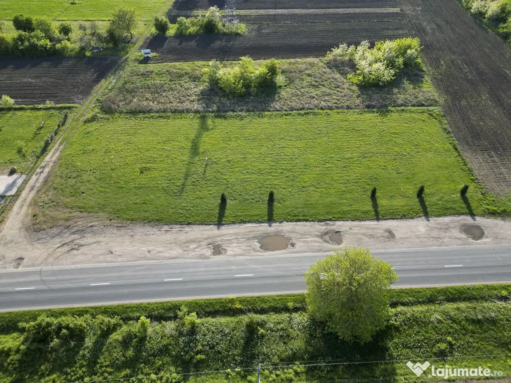 Închiriere platformă teren 4.000 mp Curtici 