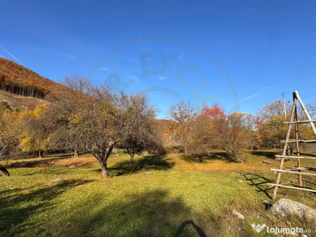 Teren Salatrucu - 7500 mp 