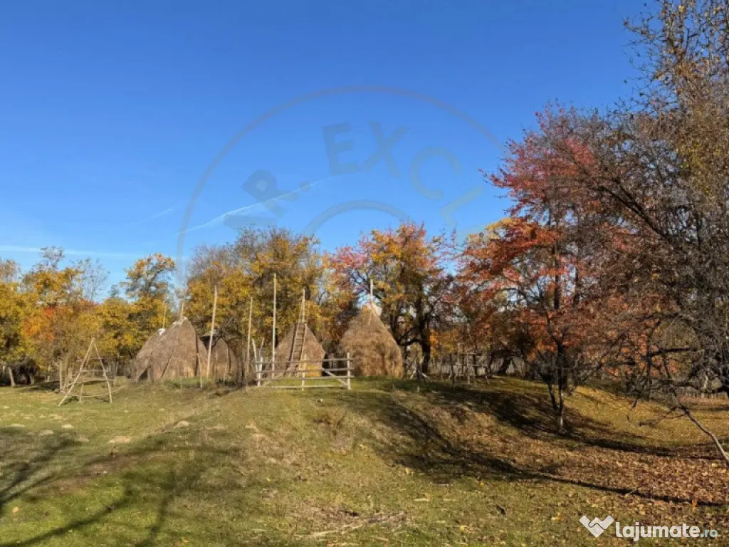 Teren Salatrucu - 7500 mp 