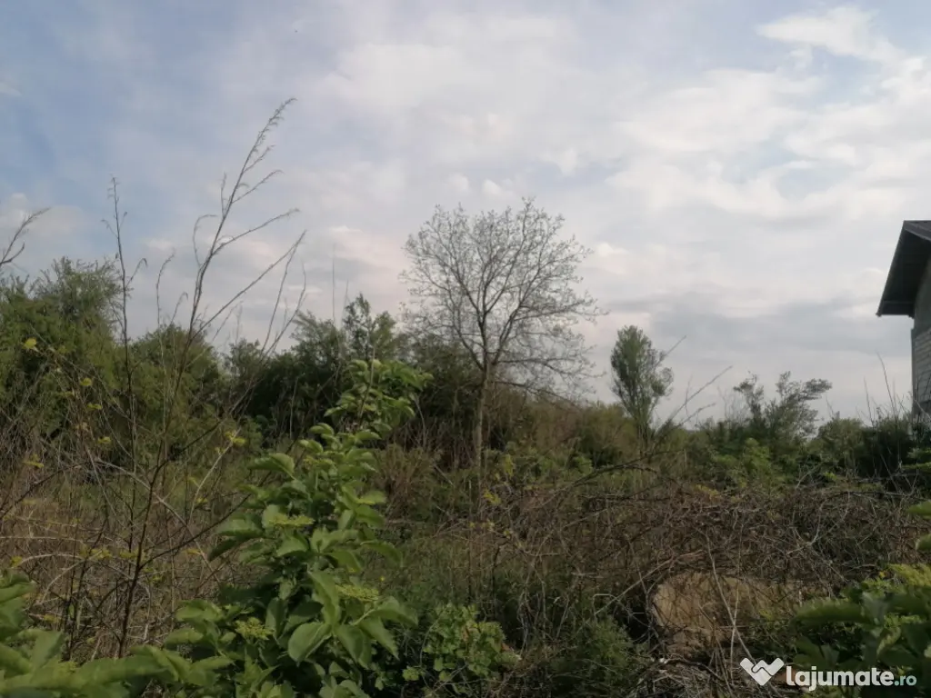 Teren intravilan suprafata 607 mp, zona Bariera Bucuresti, P 