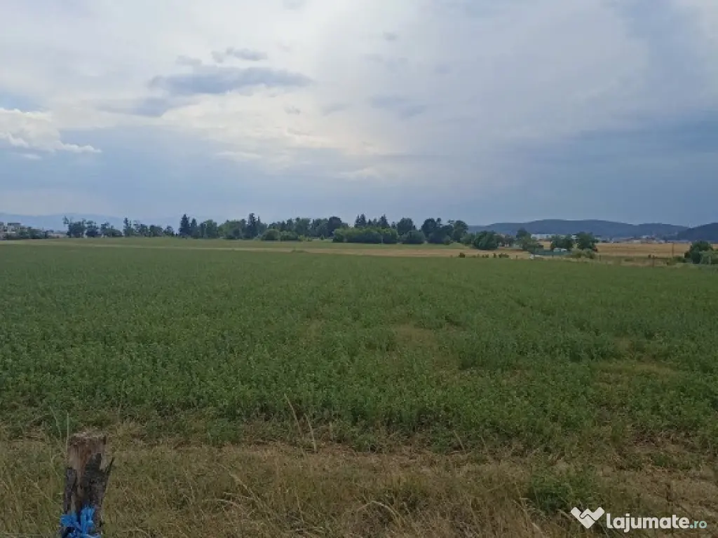 De vânzare terenuri extravilane în Sfântu Gheorghe