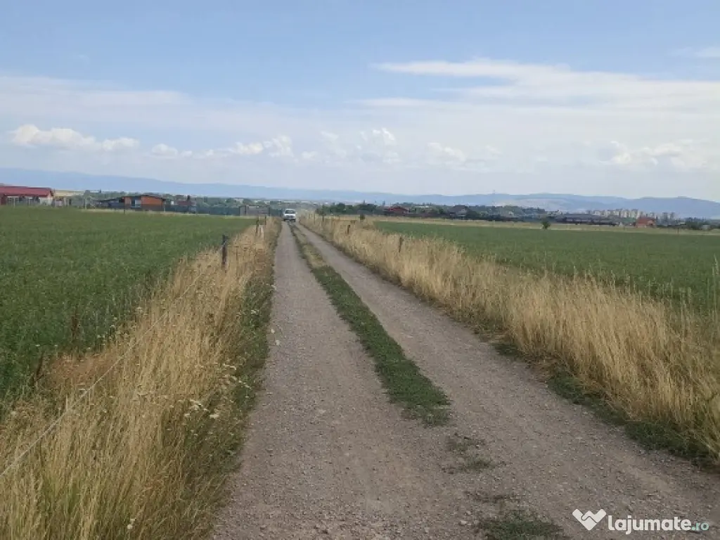 De vânzare terenuri extravilane în Sfântu Gheorghe