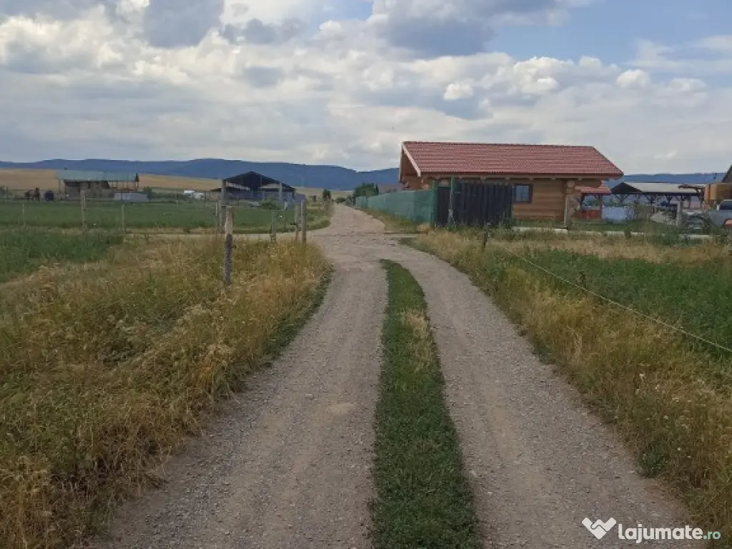 De vânzare terenuri extravilane în Sfântu Gheorghe