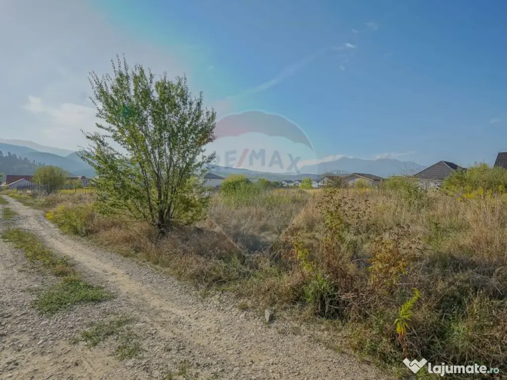 Teren de vânzare 1,000mp Cristian - intravilan 