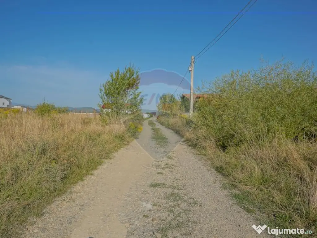 Teren de vânzare 1,000mp Cristian - intravilan 