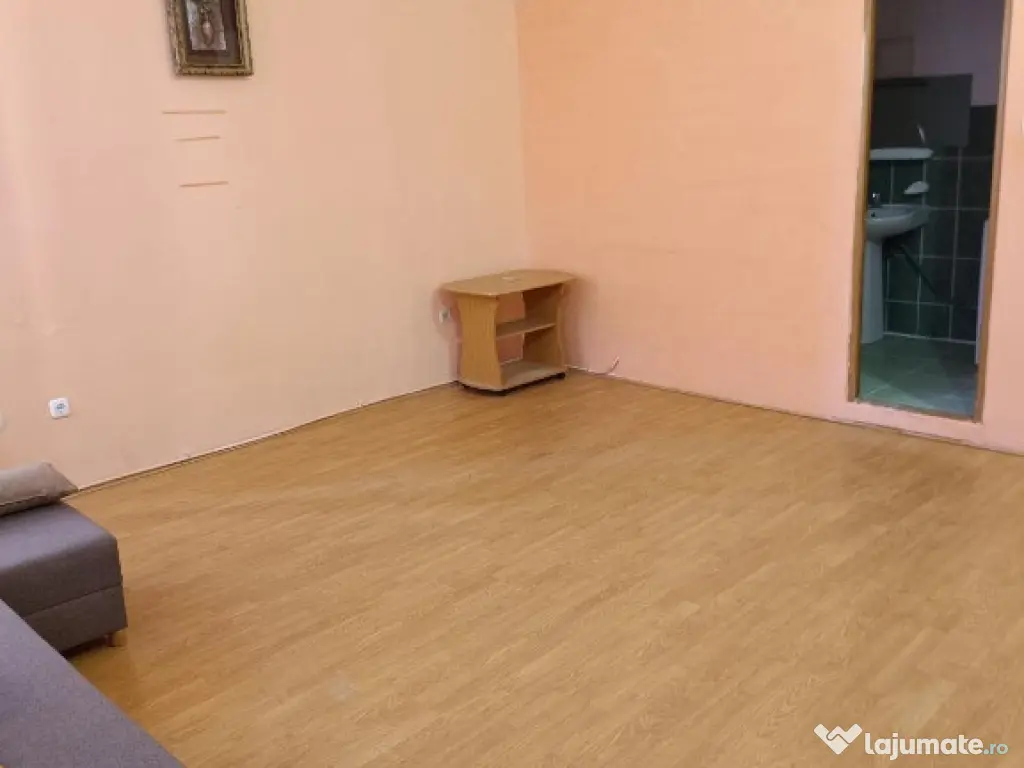 Apartament 1 camera ,et 1, Pietonal