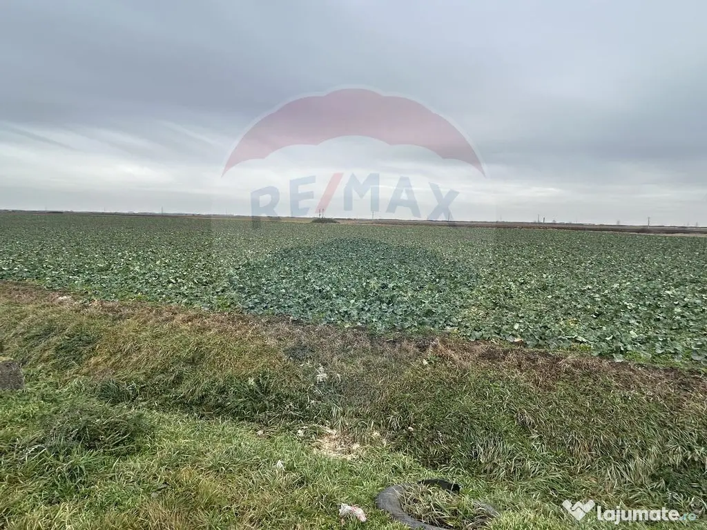 Teren intravilan 80500mp. aproape de nodul rutier de pe D... 