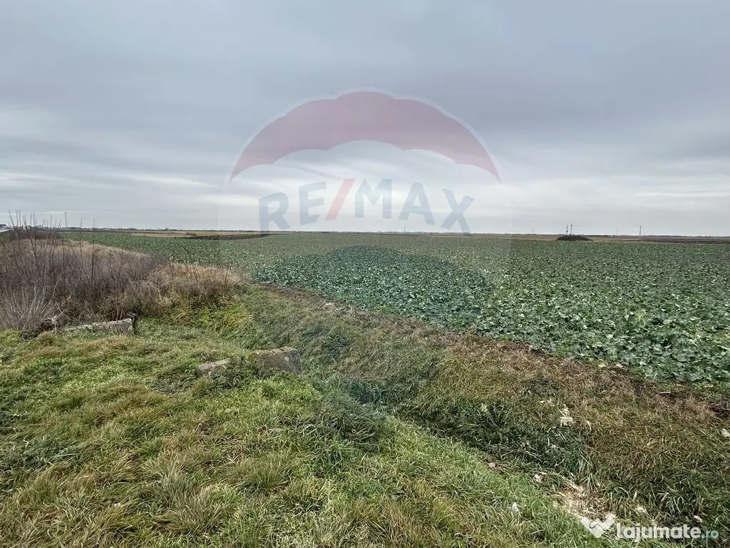 Teren intravilan 80500mp. aproape de nodul rutier de pe D... 