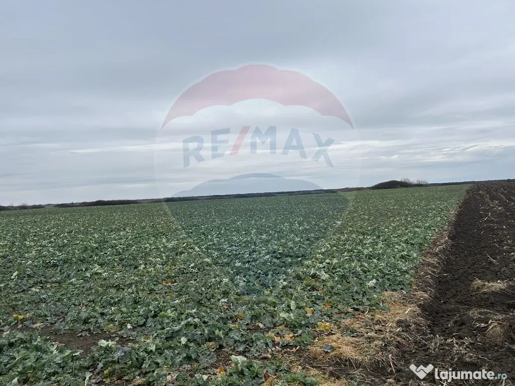 Teren intravilan 80500mp. aproape de nodul rutier de pe D... 