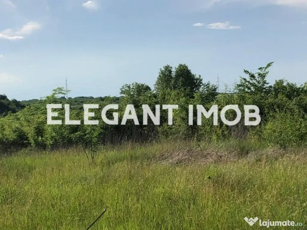 Teren cu pret foarte bun 