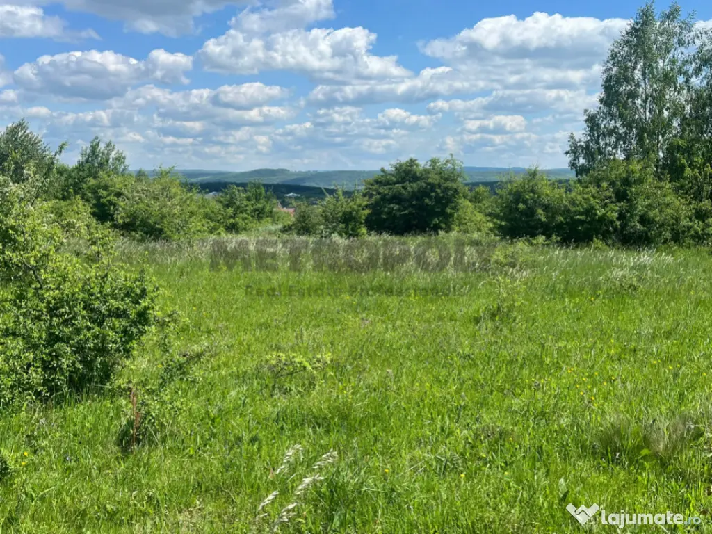 Teren 5.000 mp pe Calea Cisnădiei 