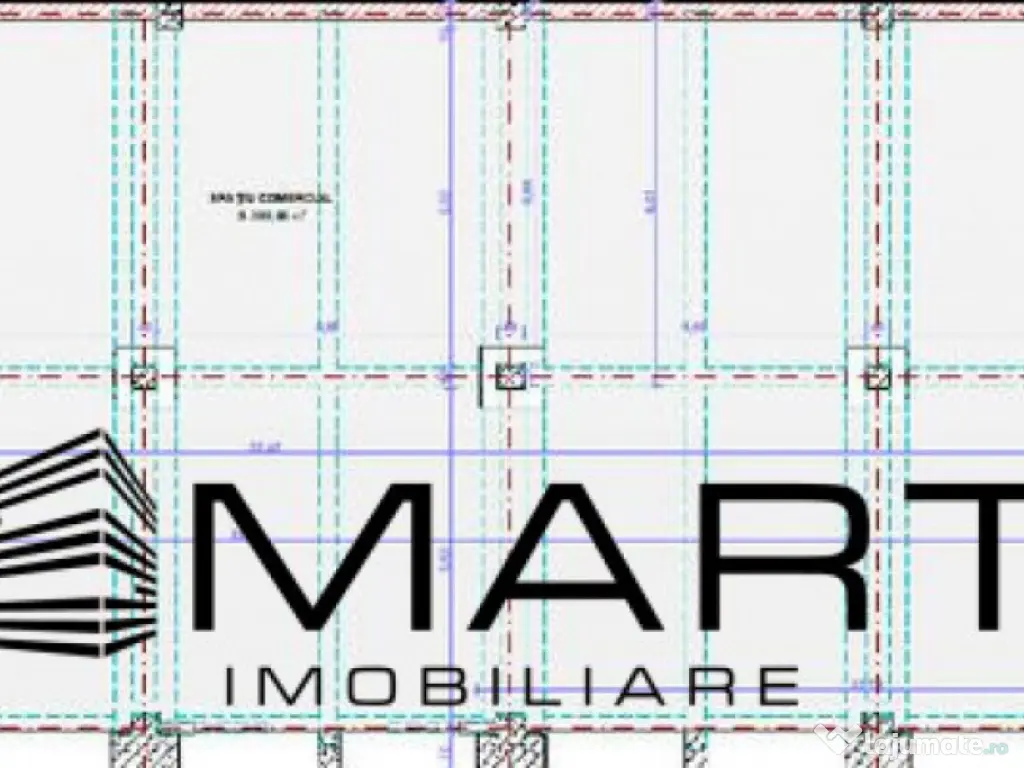 Spatiu comercial zona Calea Surii Mici
