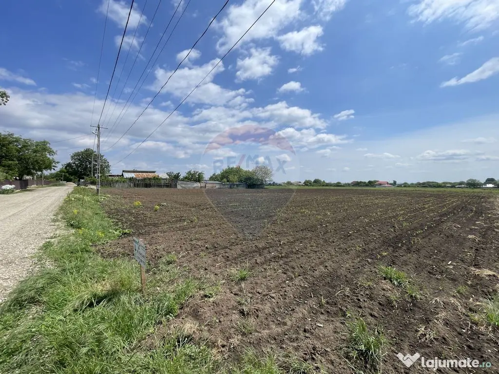 Teren Tifesti / Strada Secundara 47