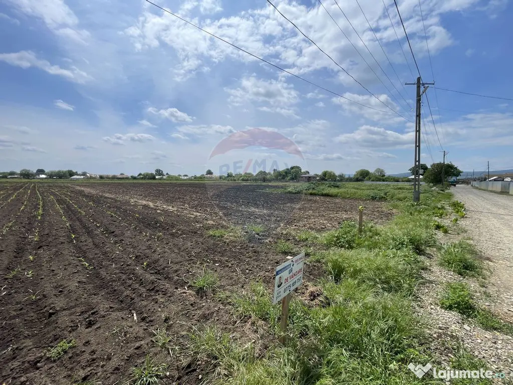 Teren Tifesti / Strada Secundara 47