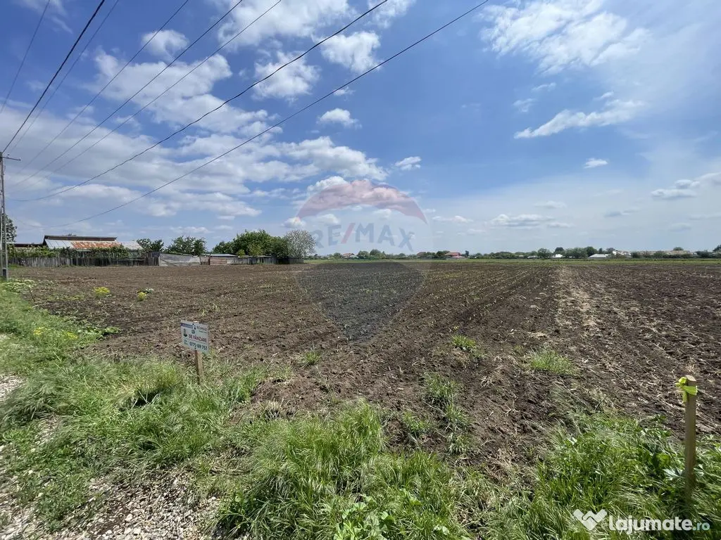 Teren Tifesti / Strada Secundara 47