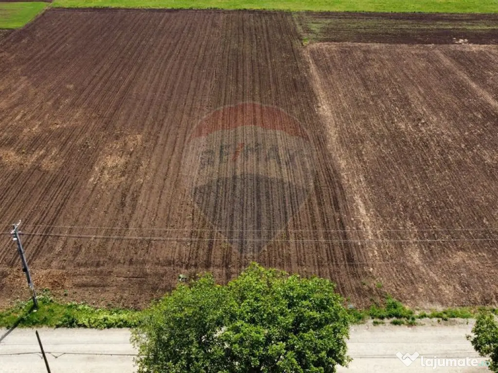 Teren Tifesti / Strada Secundara 47