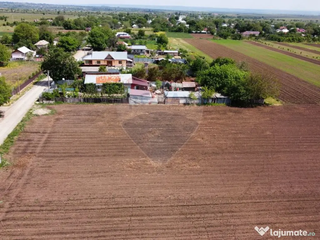 Teren Tifesti / Strada Secundara 47