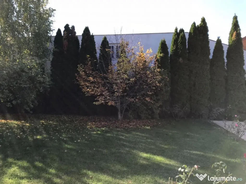 Vila Pipera D+P+1+M, 2004