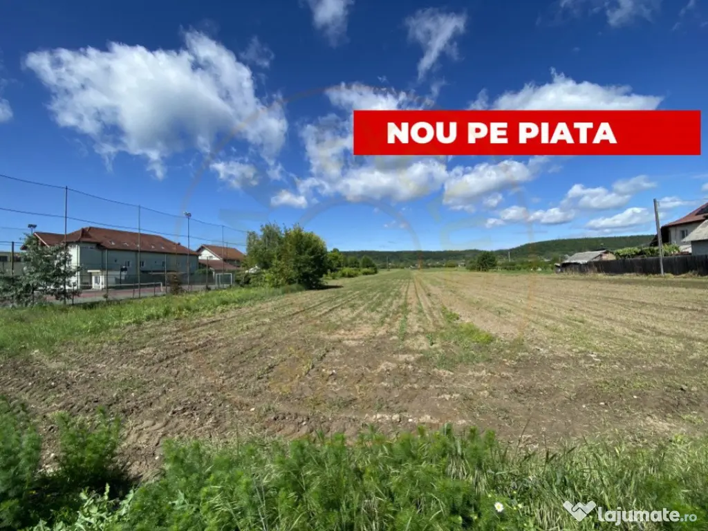 Teren intravilan 7.295 mp – Argeselu, Maracineni, AG