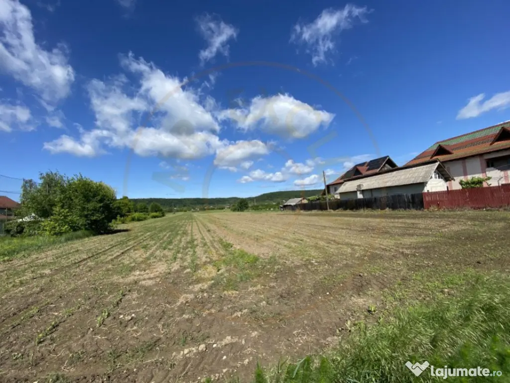 Teren intravilan 7.295 mp – Argeselu, Maracineni, AG