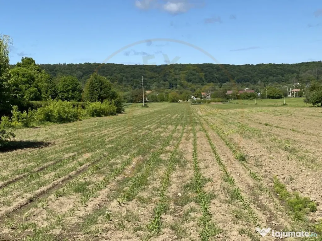 Teren intravilan 7.295 mp – Argeselu, Maracineni, AG