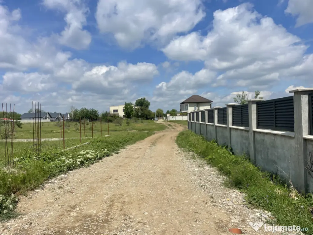 Domnești, Str Teiului, teren 1500mp, 40ml deschidere, utili 