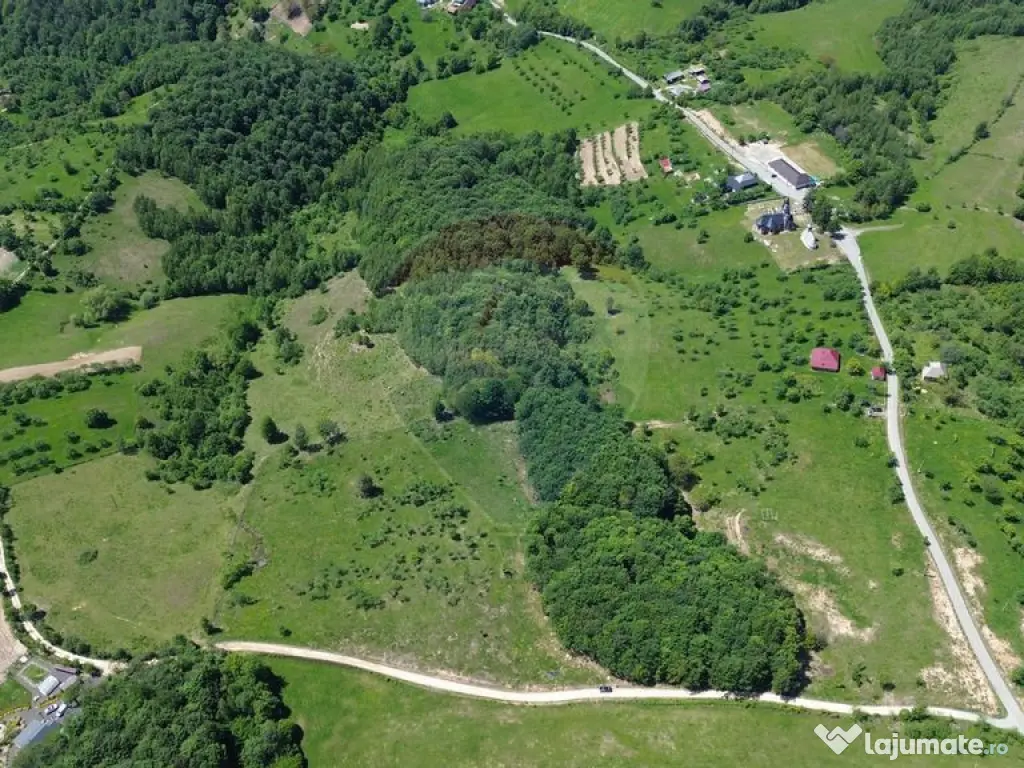 DE VÂNZARE – Teren intravilan 3 hectare, in Codrul But... 