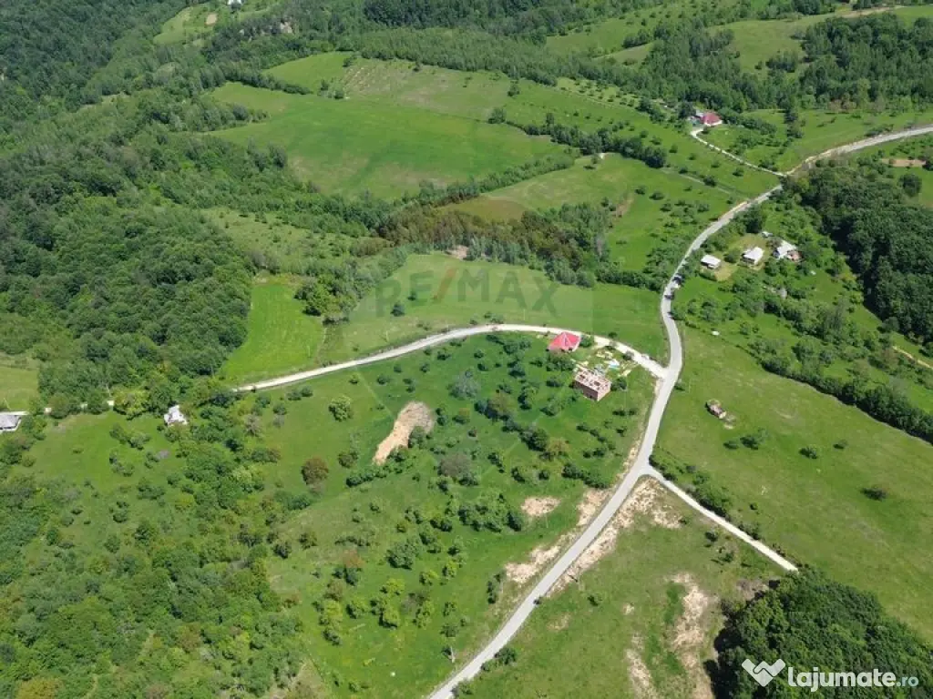 DE VÂNZARE – Teren intravilan 3 hectare, in Codrul But... 