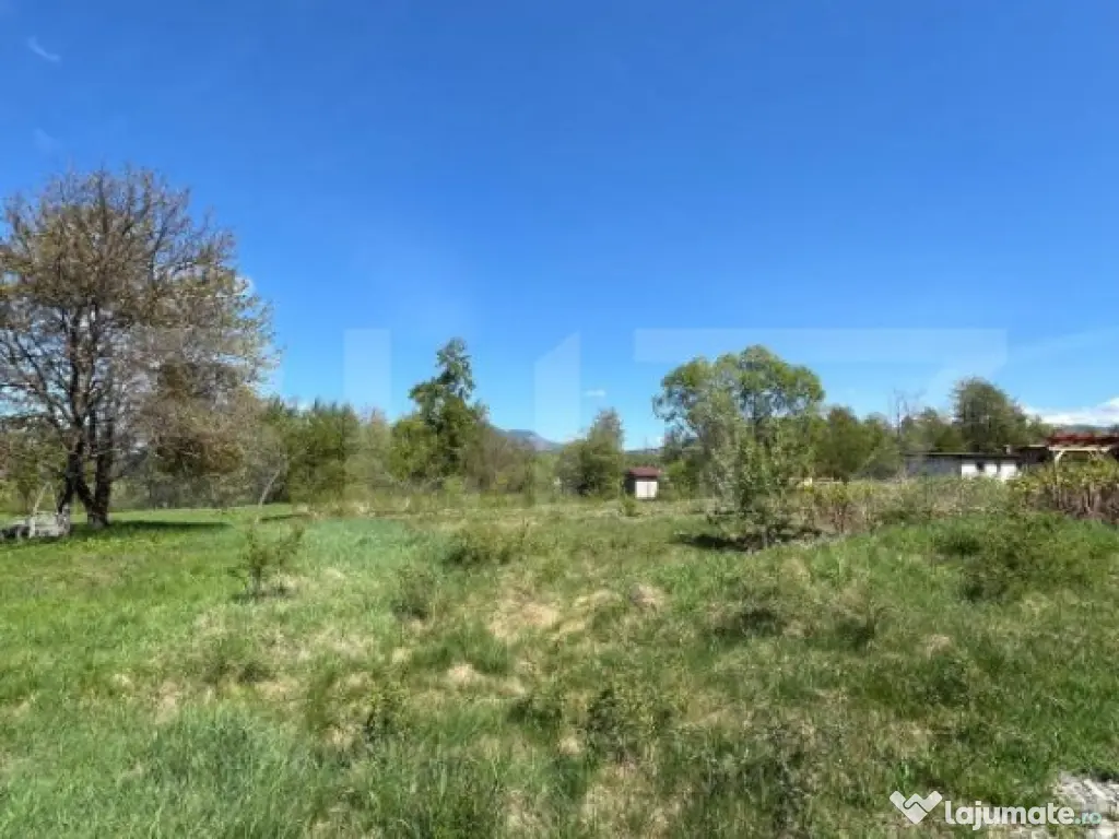 Teren de 30 ari de vânzare în Bistrița Bârgăului – zo