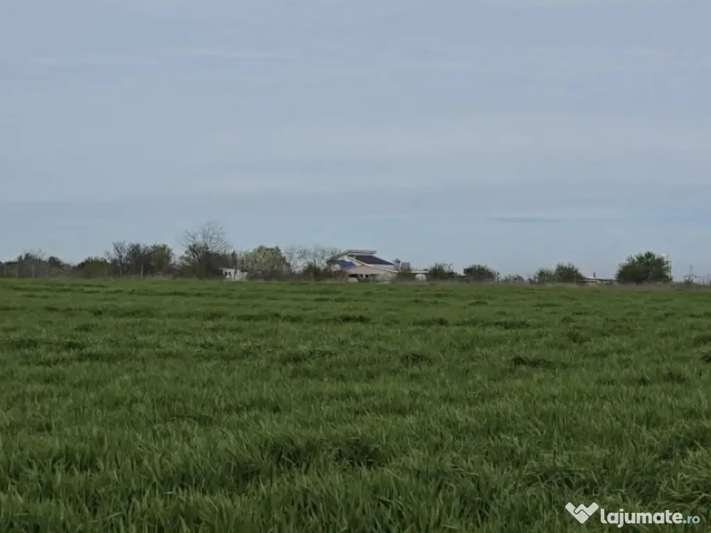 Vanzari terenuri in Agigea zona Steaua de Mare cu PUZ 