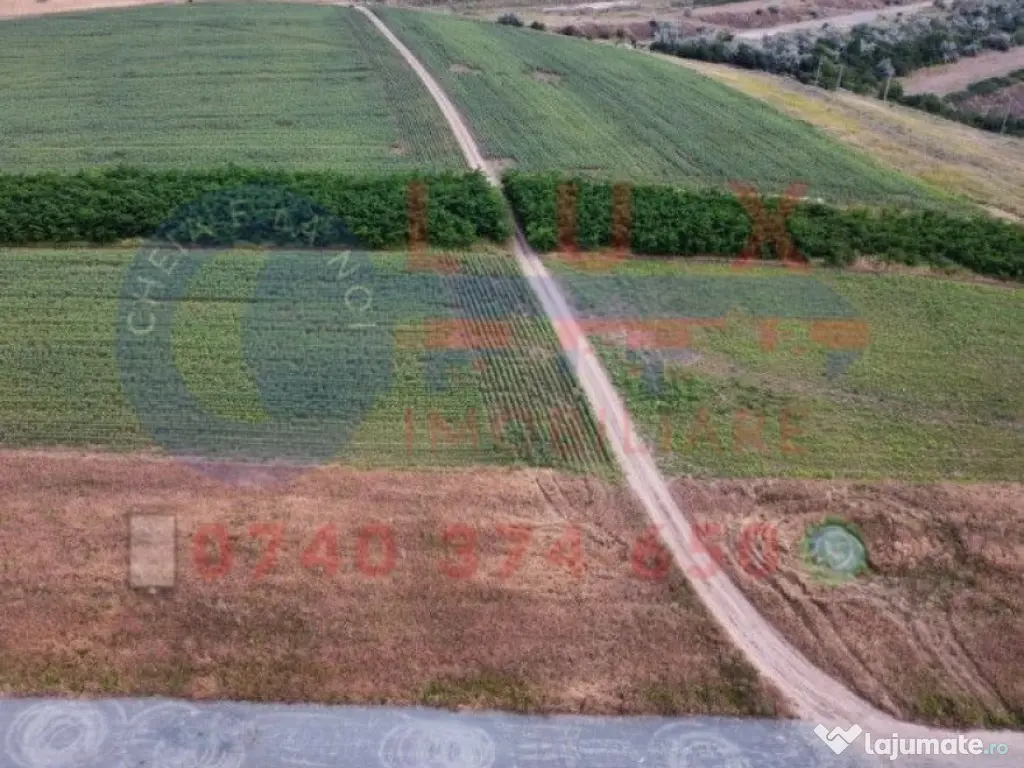 ID 7847 Teren INTRAVILAN pentru casă in Sat MINERI 