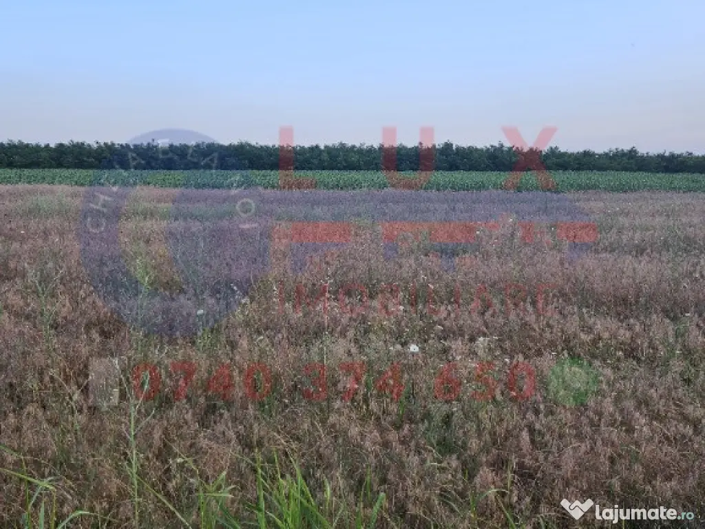 ID 7847 Teren INTRAVILAN pentru casă in Sat MINERI 