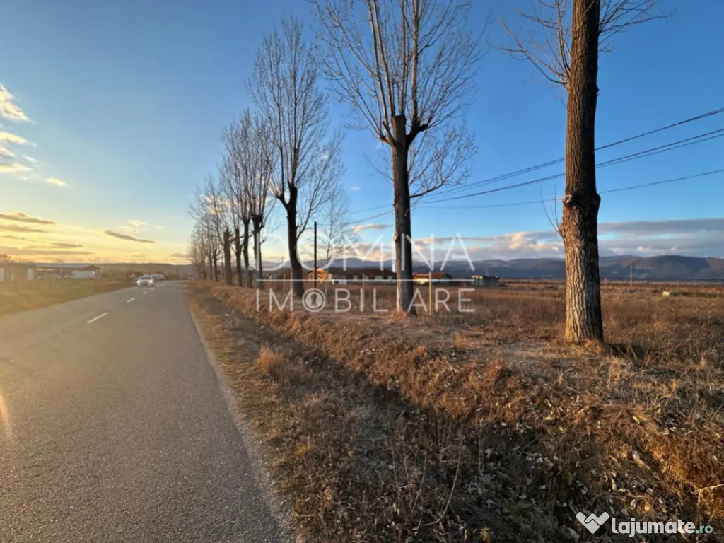 Hala si teren 2,5 ha - infrastructură industrială