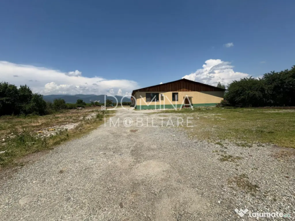 Hala si teren 2,5 ha - infrastructură industrială