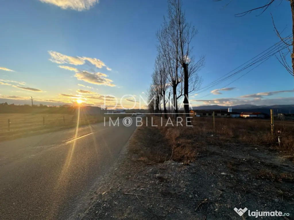 Hala si teren 2,5 ha - infrastructură industrială