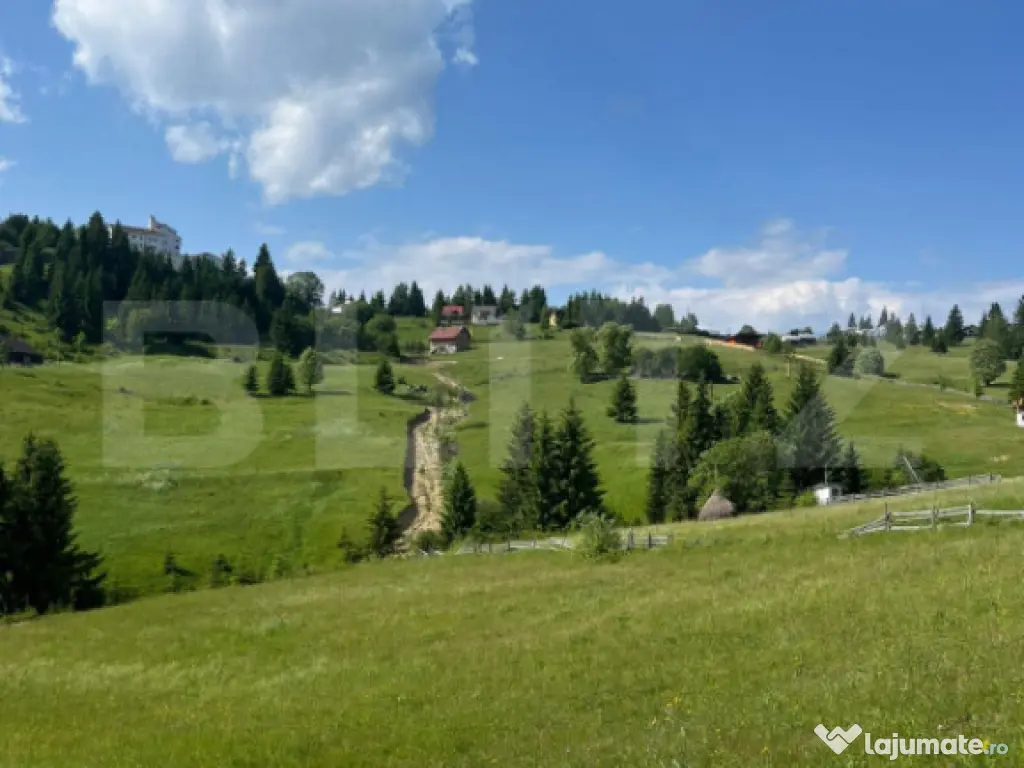 ????️ Oportunitate de Investiție Unică – Teren 1.800 m