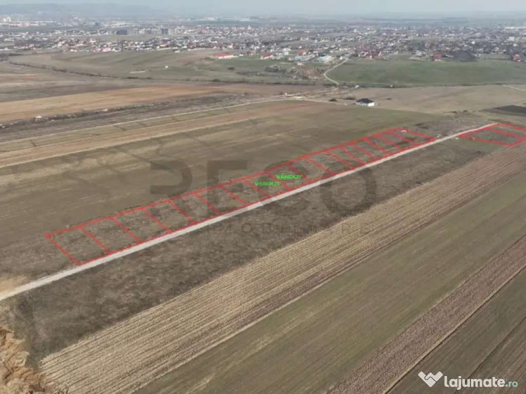 RECO Teren intravilan Cihei Sanmartin 