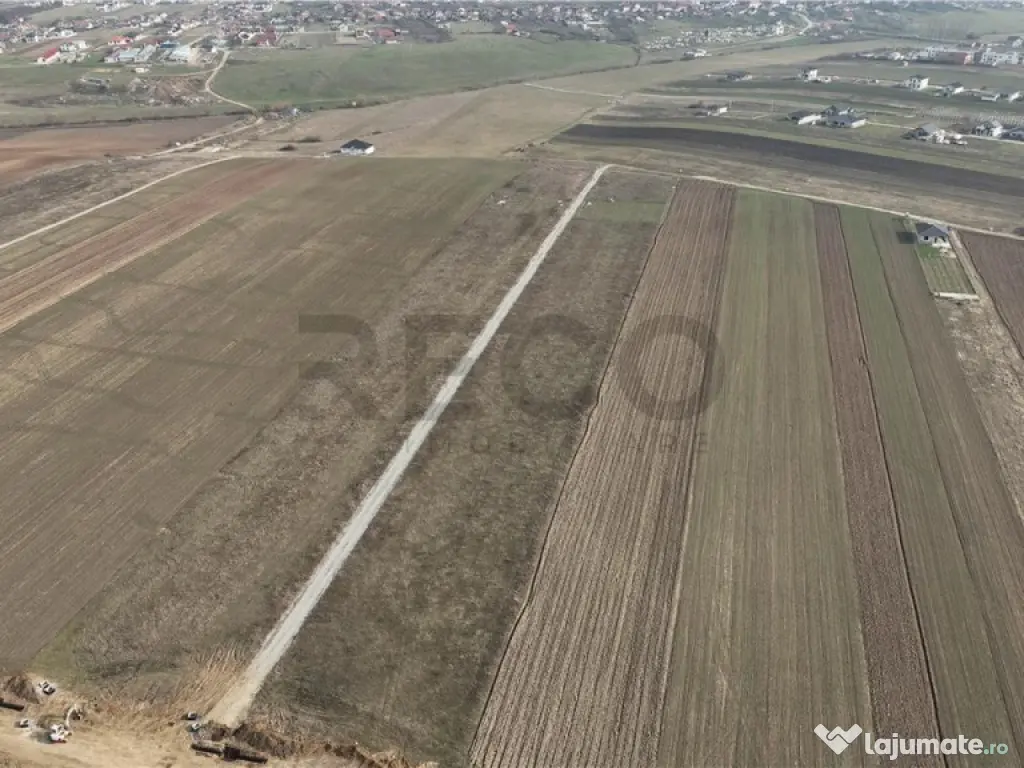 RECO Teren intravilan Cihei Sanmartin 
