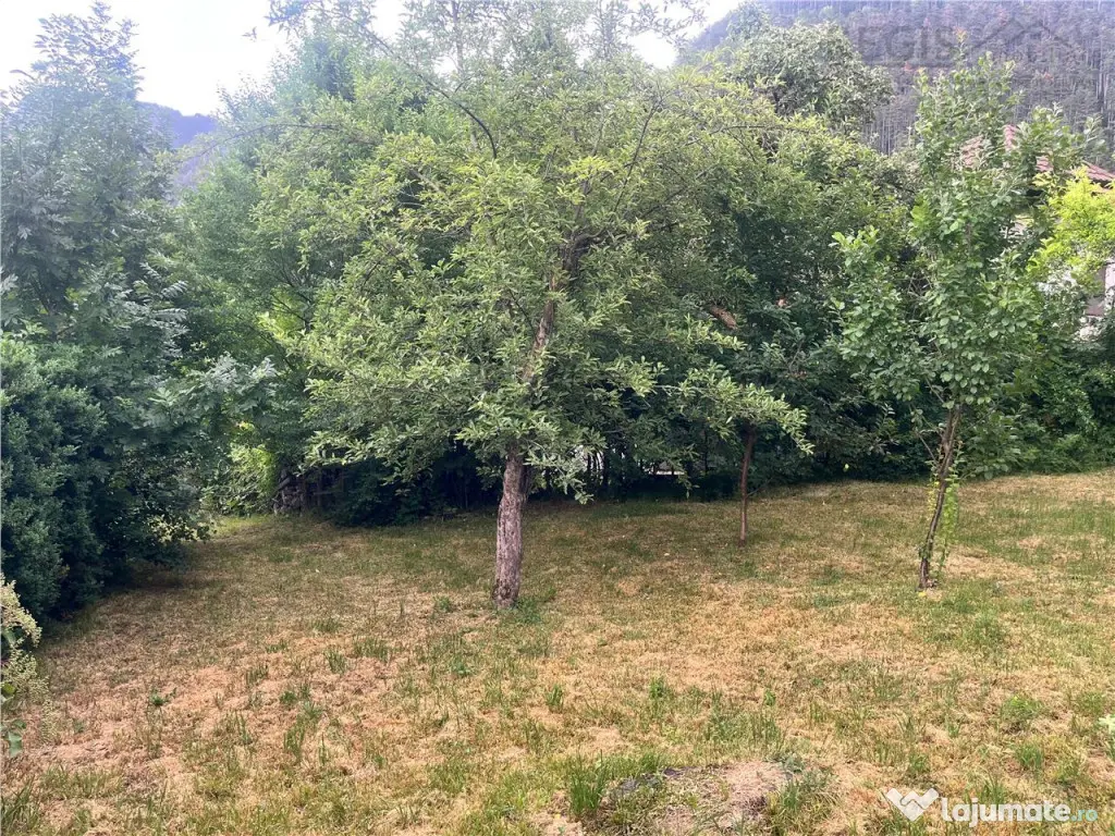 TEREN 1600MP CU CASA 5 CAMERE, SCHEII BRASOVULUI 