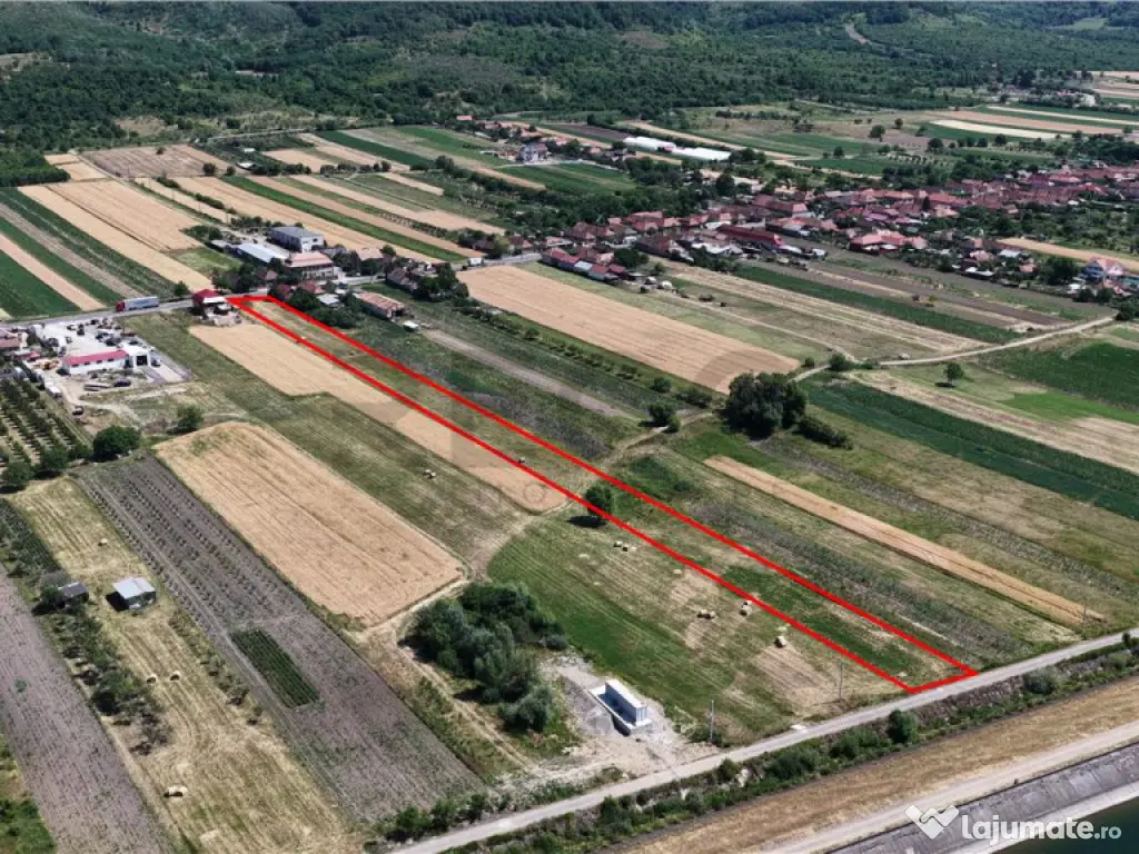 RECO Teren intravilan 6890mp in Urvind 