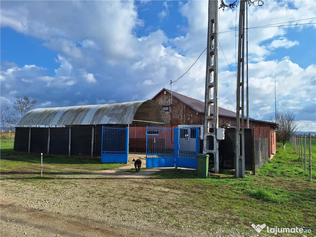 Reco, hala industriala Sabolciu