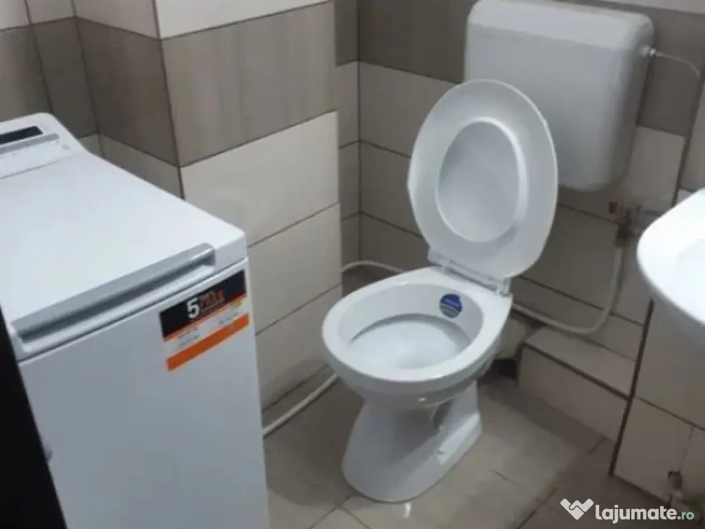 1 camera in zona Lipovei 