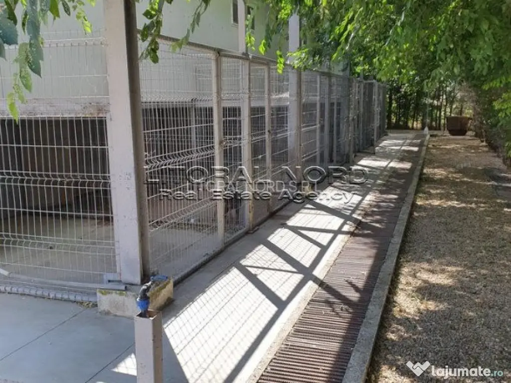 Exclusivitate-Ovidiu-Pet Hotel, 220 mp utili,teren intravilan 1.417mp 