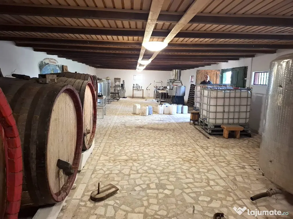 Crama de vanzare Odobesti -Vartescoiu