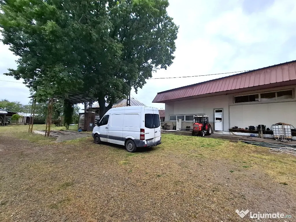 Crama de vanzare Odobesti -Vartescoiu