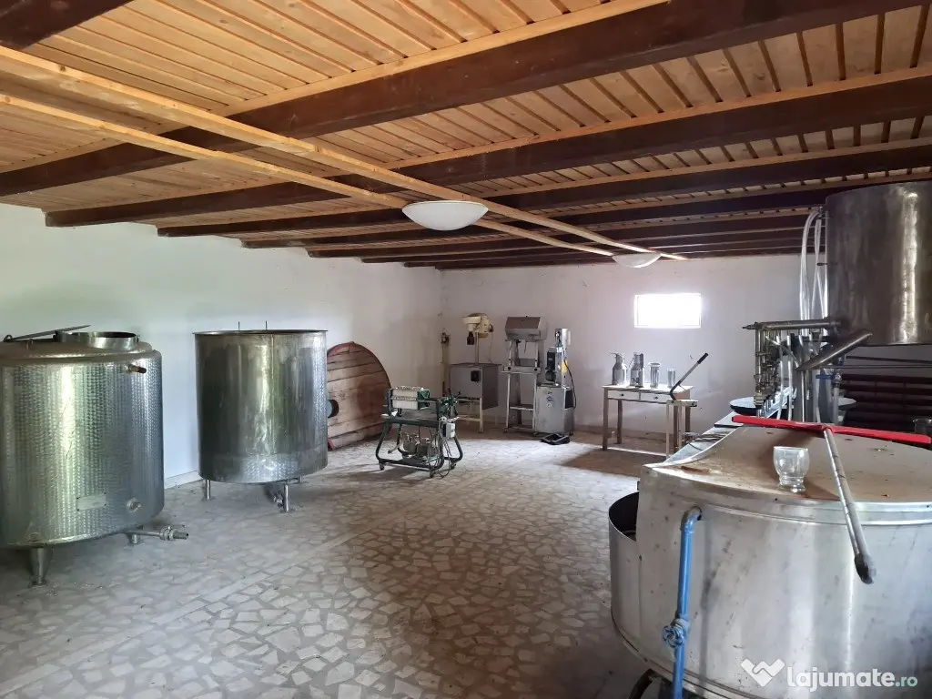 Crama de vanzare Odobesti -Vartescoiu