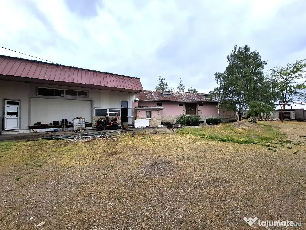 Crama de vanzare Odobesti -Vartescoiu