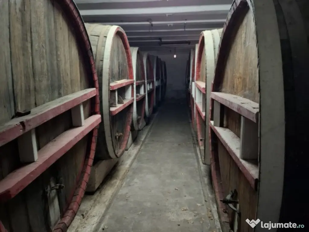 Crama de vanzare Odobesti -Vartescoiu