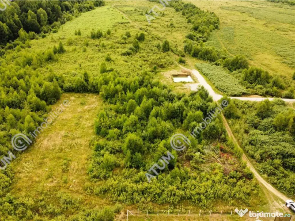 Teren intravilan 3900 mp Porumbacu de Sus, Sibiu 