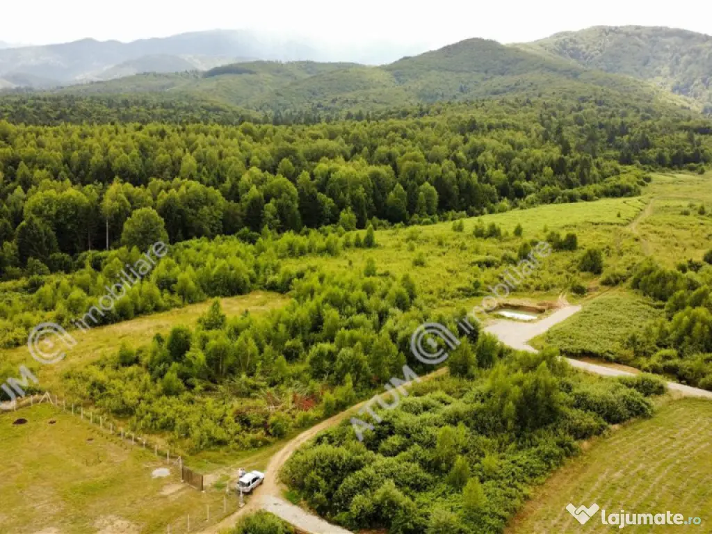 Teren intravilan 3900 mp Porumbacu de Sus, Sibiu 